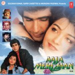 Aaja Meri Jaan - Anuradha Paudwal Song Download
